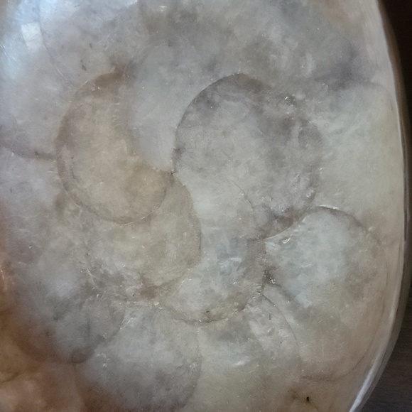 Tortoise Shell Dish - Picture 2 of 4